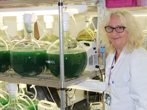 Leading microbiologist brings millions to North-east to protect public health Leading microbiologist brings millions to North-east to protect public health