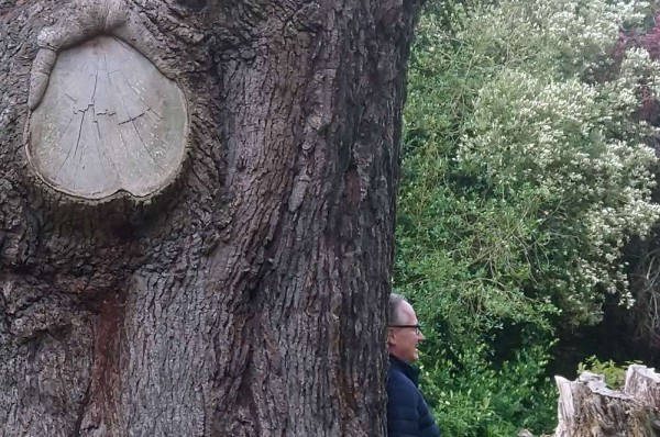 Lecturer Chris Fremantle, Treescapes project Lecturer Chris Fremantle, Treescapes project