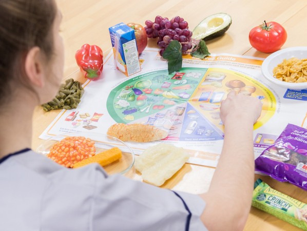 Institutions join forces to bridge the gap for home economics teachers Institutions join forces to bridge the gap for home economics teachers