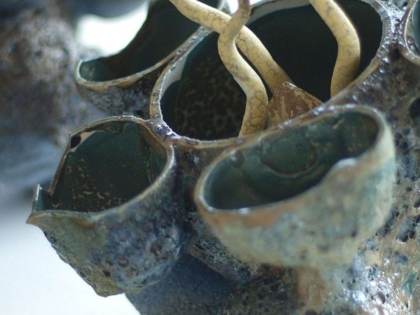 Pottery image from Creative Entrepreneurship Graduate, Amy Benzie Pottery image from Creative Entrepreneurship Graduate, Amy Benzie