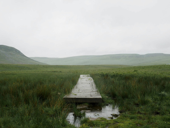 Bridge in grassy field
