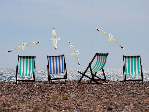 Seagulls and deck chairs on a beach