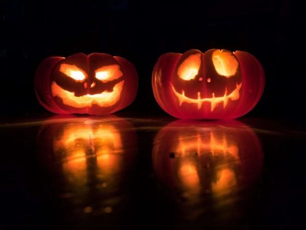 Pumpkin Pumpkin