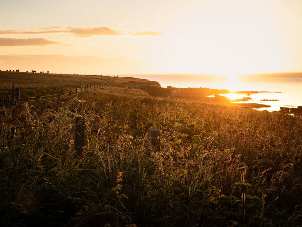 Sunset over beach in distance