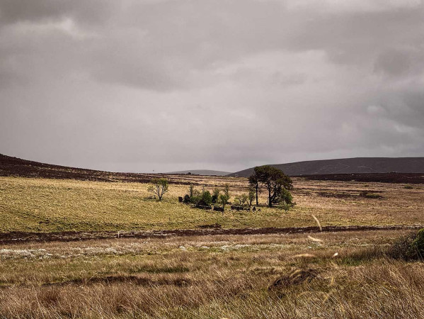 scottish landscape with trees and hills on a cloudy day