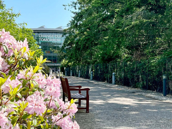 Aberdeen Business School in the summer