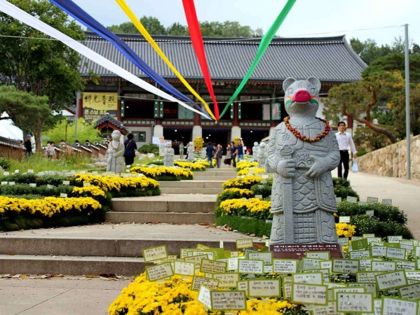 University of Seoul