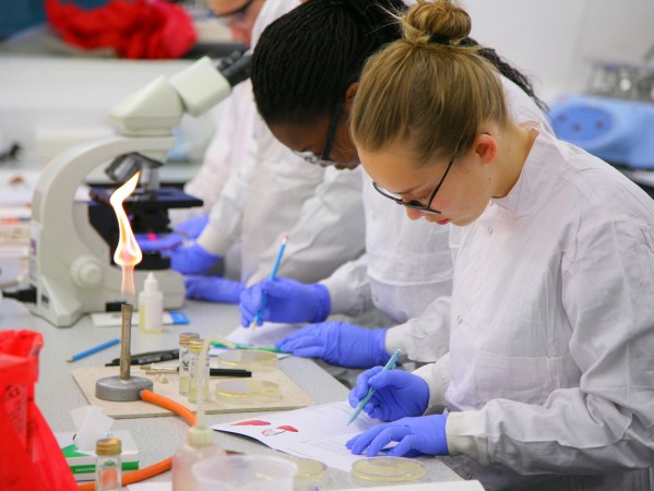 Young scientists of the future experiment at RGU 