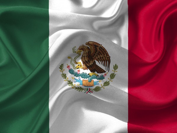 Oil and Gas Skills Framework, MexicoMexico Flag