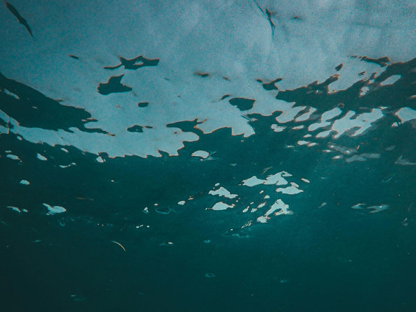 The sea surface from below