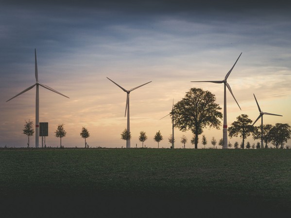 wind turbines at dawn