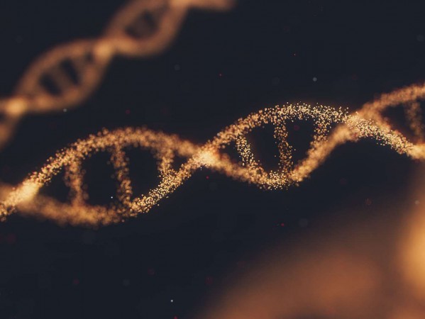 DNA illustration DNA illustration