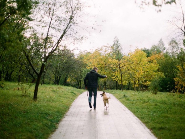 dog and man walking dog and man walking