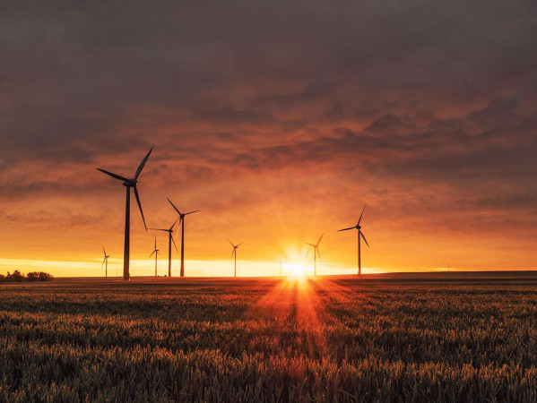 Windfarm with sun setting in the background