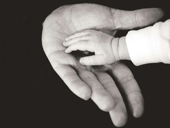 baby's hand in an adult's hand baby's hand in an adult's hand